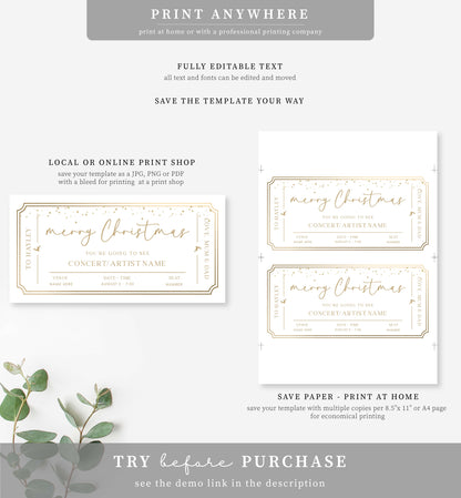 Paintly White Gold | Printable Concert Christmas Custom Gift Voucher Template