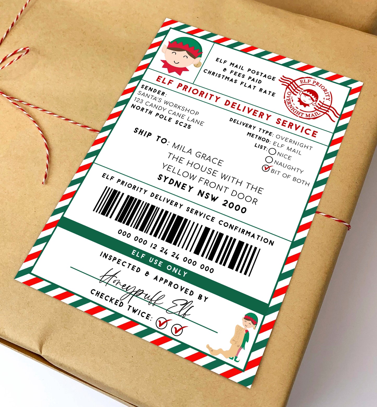 Printable Elf Mail Shipping Label Sticker, North Pole Mail Gift Tag, Santas Workshop Christmas Special Delivery Shipping Label, Gift Tag, Elf Delivery Stamp, Elf Arrival Label