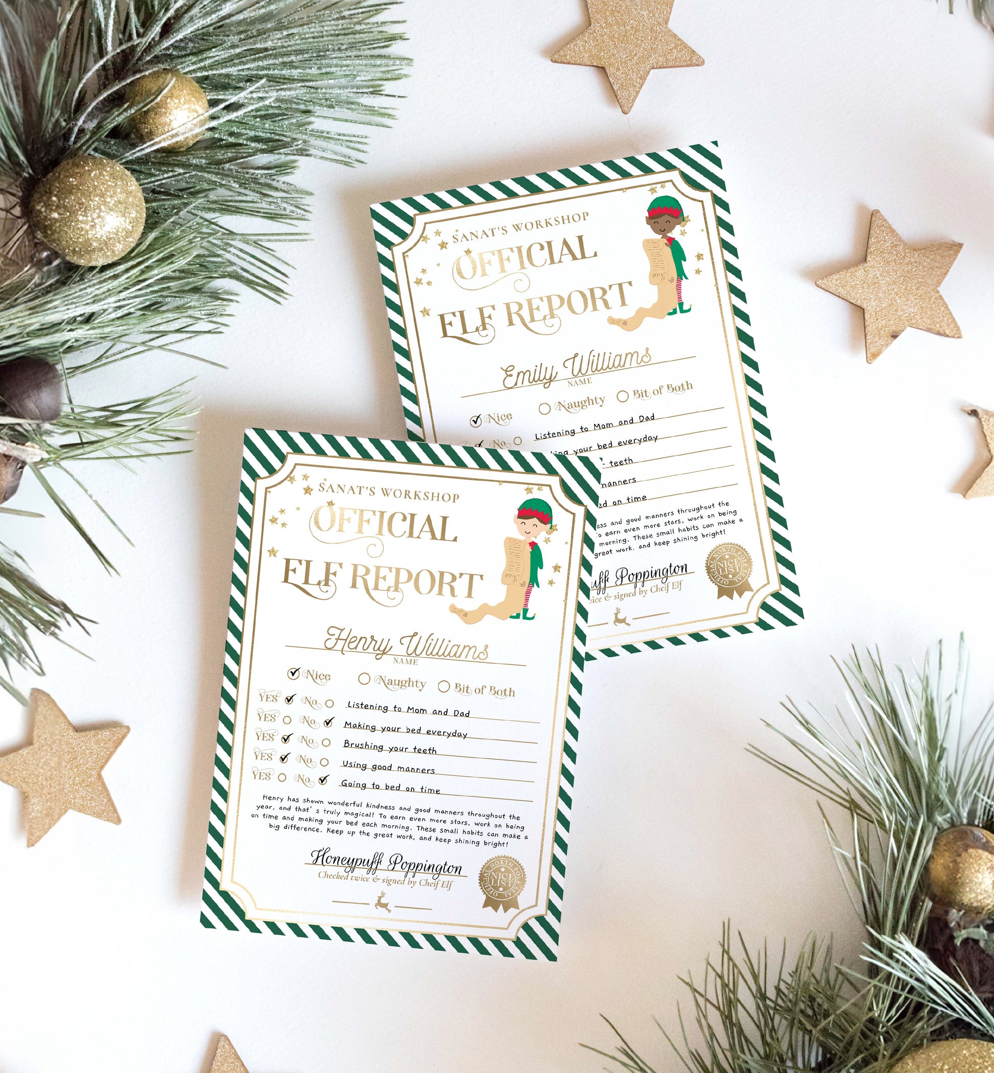 Printable Elf Report Card Template, North Pole Elf Mail Report Letter, Santa's Workshop Christmas Elf Arrival Box, Stripe