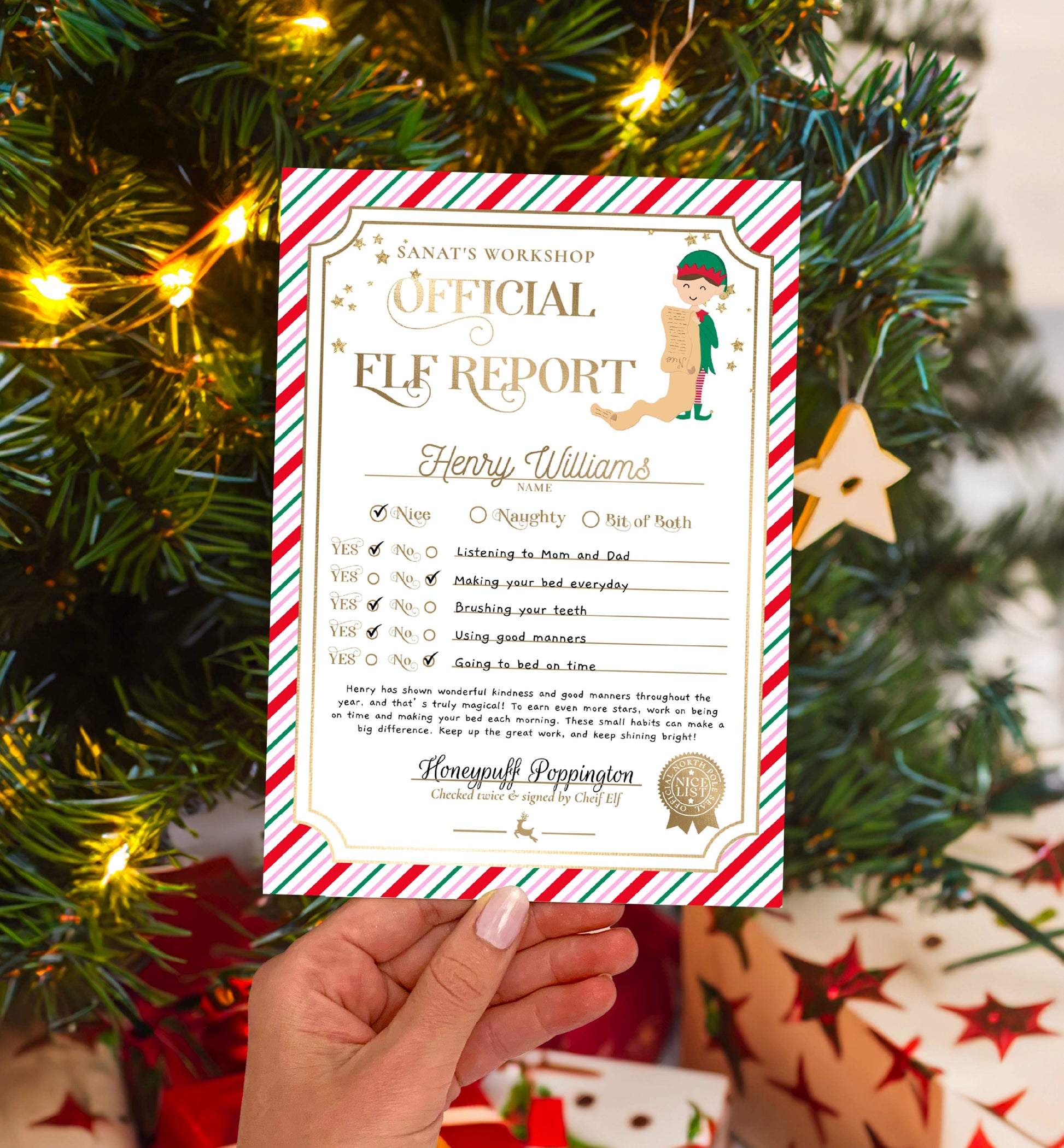 Printable Elf Report Card Template, North Pole Elf Mail Report Letter, Santa's Workshop Christmas Elf Arrival Box, Stripe