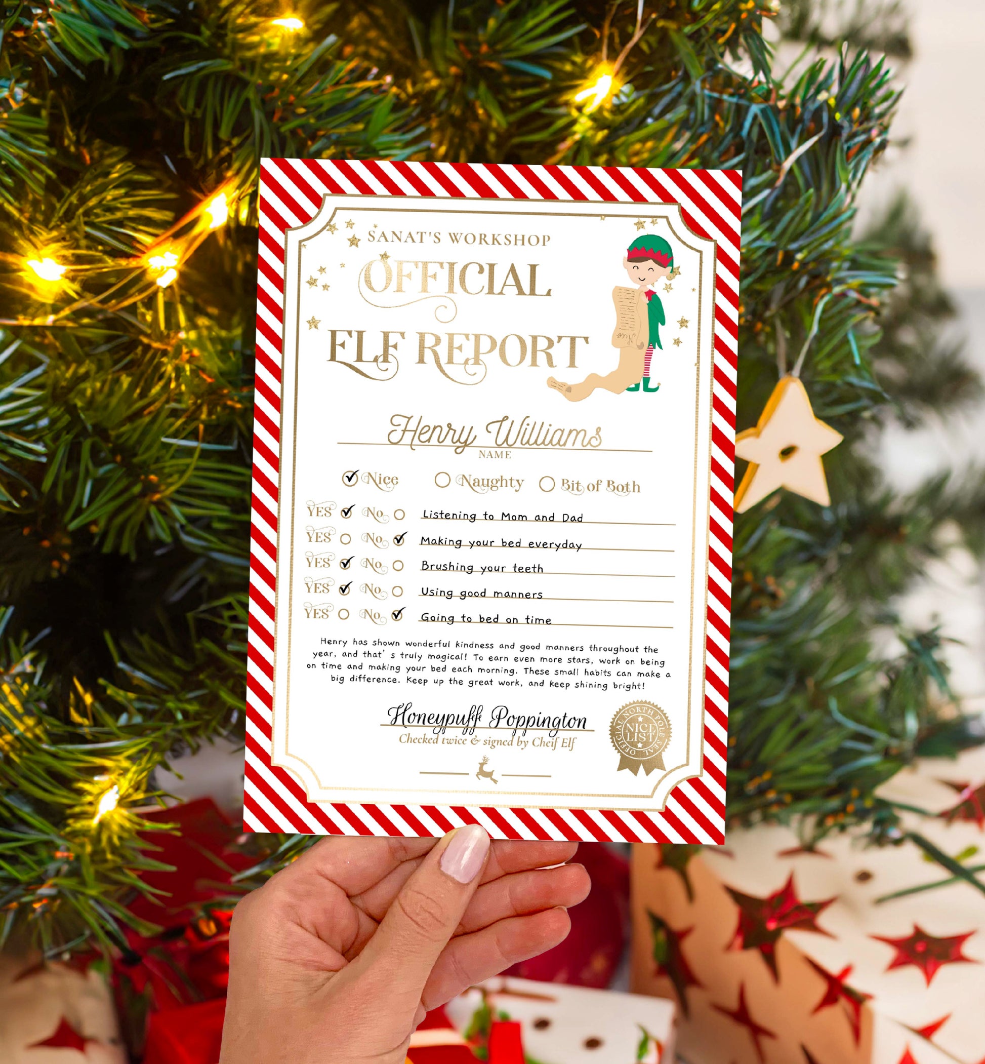 Printable Elf Report Card Template, North Pole Elf Mail Report Letter, Santa's Workshop Christmas Elf Arrival Box, Stripe