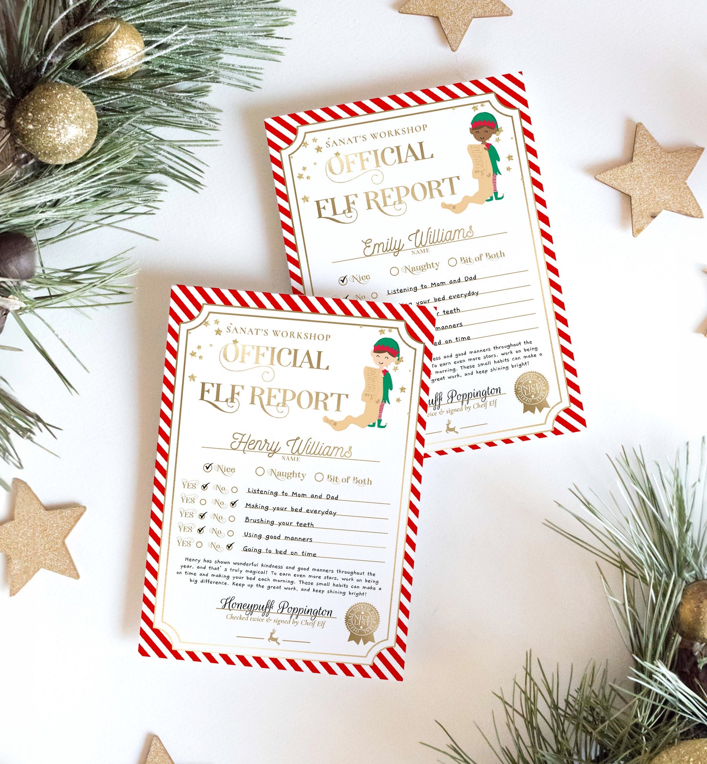 Printable Elf Report Card Template, North Pole Elf Mail Report Letter, Santa's Workshop Christmas Elf Arrival Box, Stripe