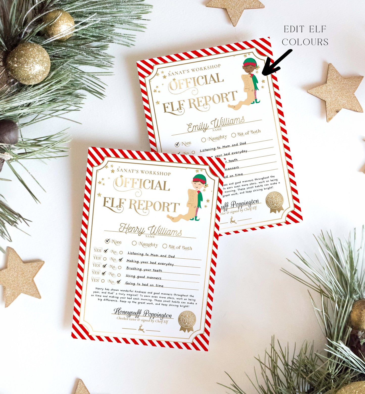 Printable Elf Report Card Template, North Pole Elf Mail Report Letter, Santa's Workshop Christmas Elf Arrival Box, Stripe