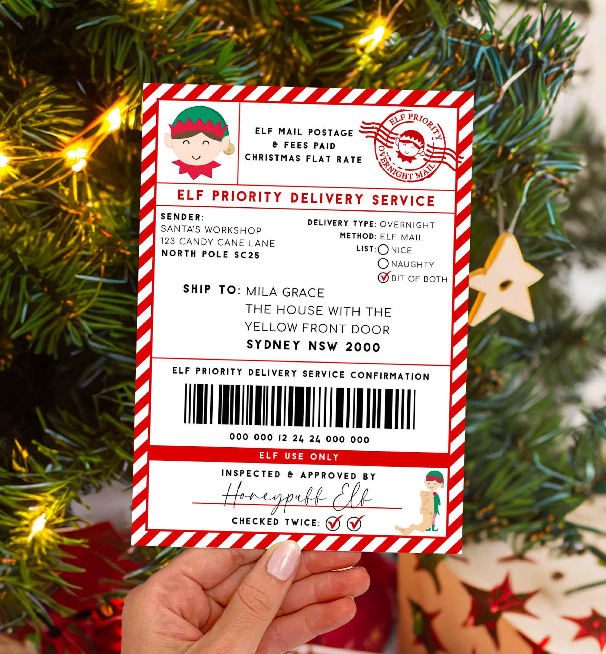 Printable Elf Arrival Box Shipping Label Sticker, North Pole Elf Mail Gift Tag, Santa's Workshop Christmas Special Delivery Shipping Label