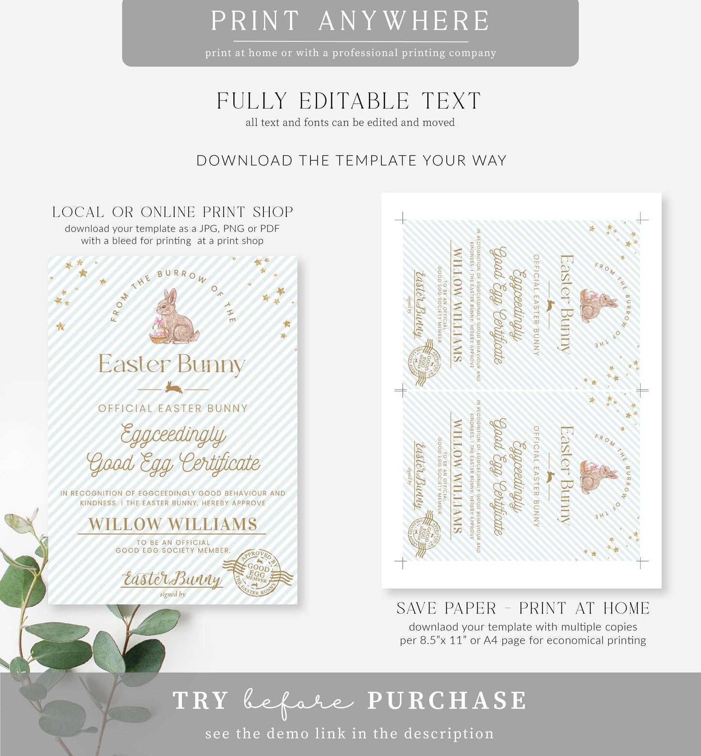 Stripe Egg Blue| Printable Easter Good Egg Certificate Template