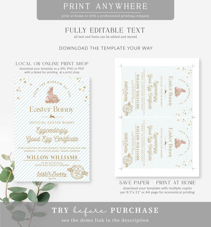 Stripe Egg Blue| Printable Easter Good Egg Certificate Template