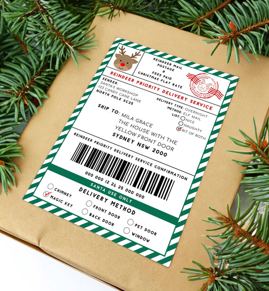 Printable Reindeer Mail North Pole Shipping Label Sticker, Christmas Special Delivery Shipping Label Template, Christmas Gift Tag, Green