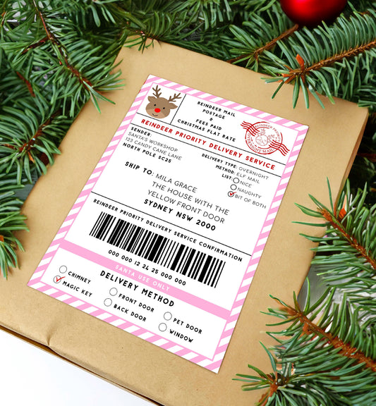 Printable Reindeer Mail North Pole Shipping Label Sticker, Christmas Special Delivery Shipping Label Template, Christmas Gift Tag