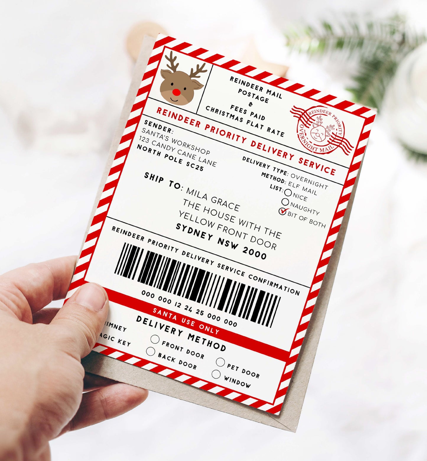 Printable Reindeer Mail North Pole Shipping Label Sticker, Christmas Special Delivery Shipping Label Template, Christmas Gift Tag