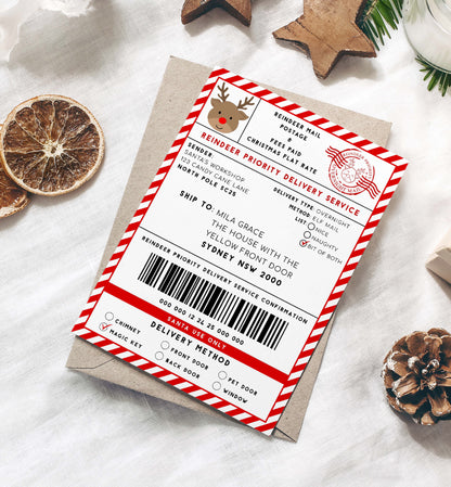 Printable Reindeer Mail North Pole Shipping Label Sticker, Christmas Special Delivery Shipping Label Template, Christmas Gift Tag