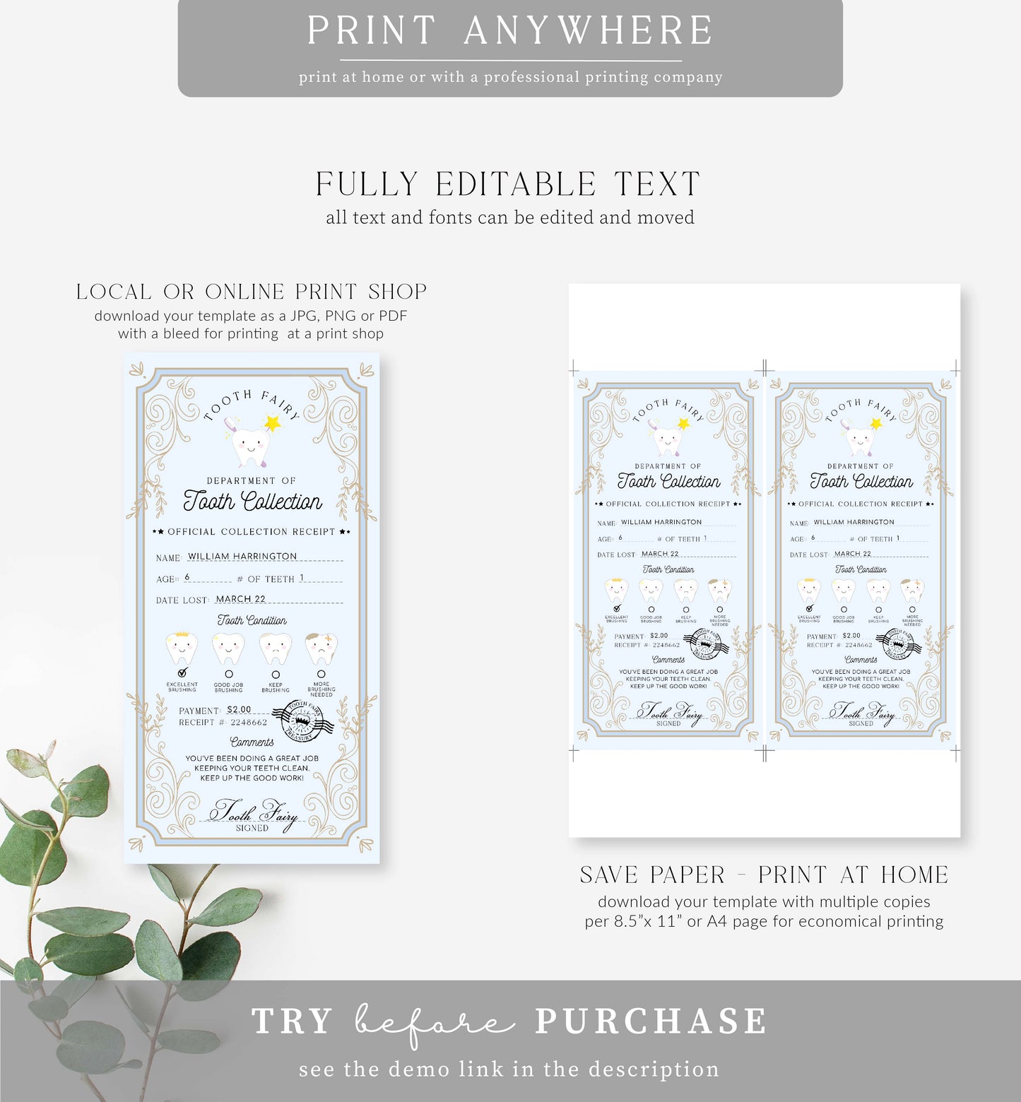 Tooth Fairy Blue | Printable Tooth Collection Receipt Template