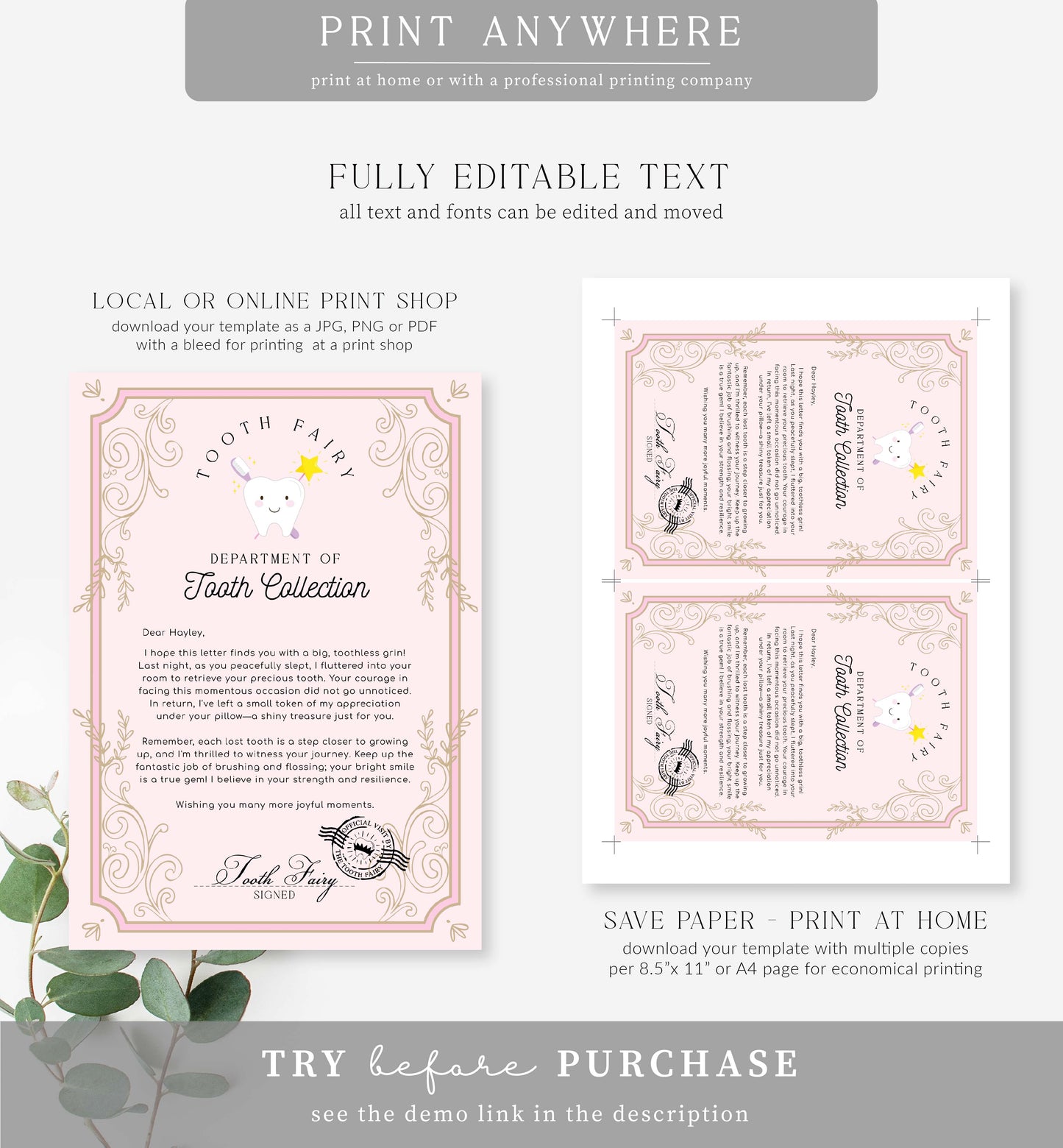 Tooth Fairy Pink | Printable Tooth Collection Letter Template