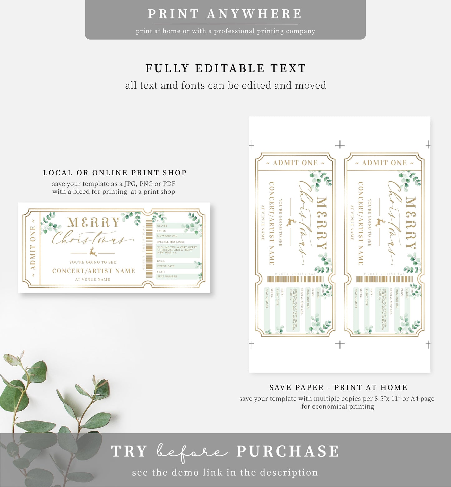 Ferras Green | Printable Christmas Concert Custom Gift Voucher Template