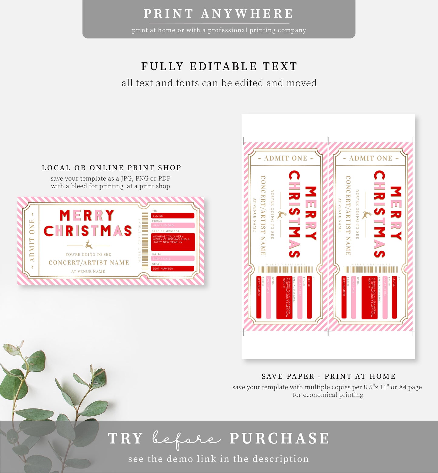 Stripe Pink Gold | Printable Christmas Concert Custom Gift Voucher Template