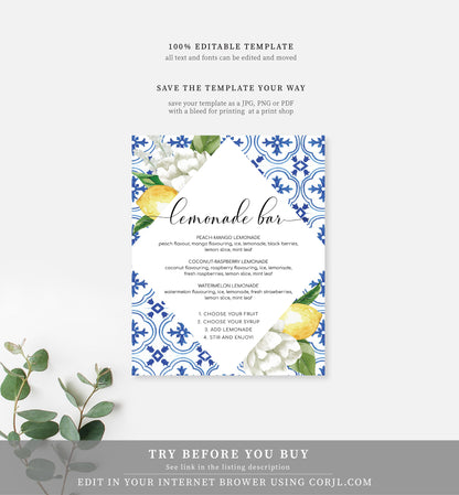 The Med Lemons | Printable Lemonade Bar Sign - Black Bow Studio