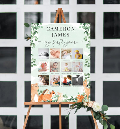 Woodland Animals Green | Printable My First Year Photo Timeline Sign