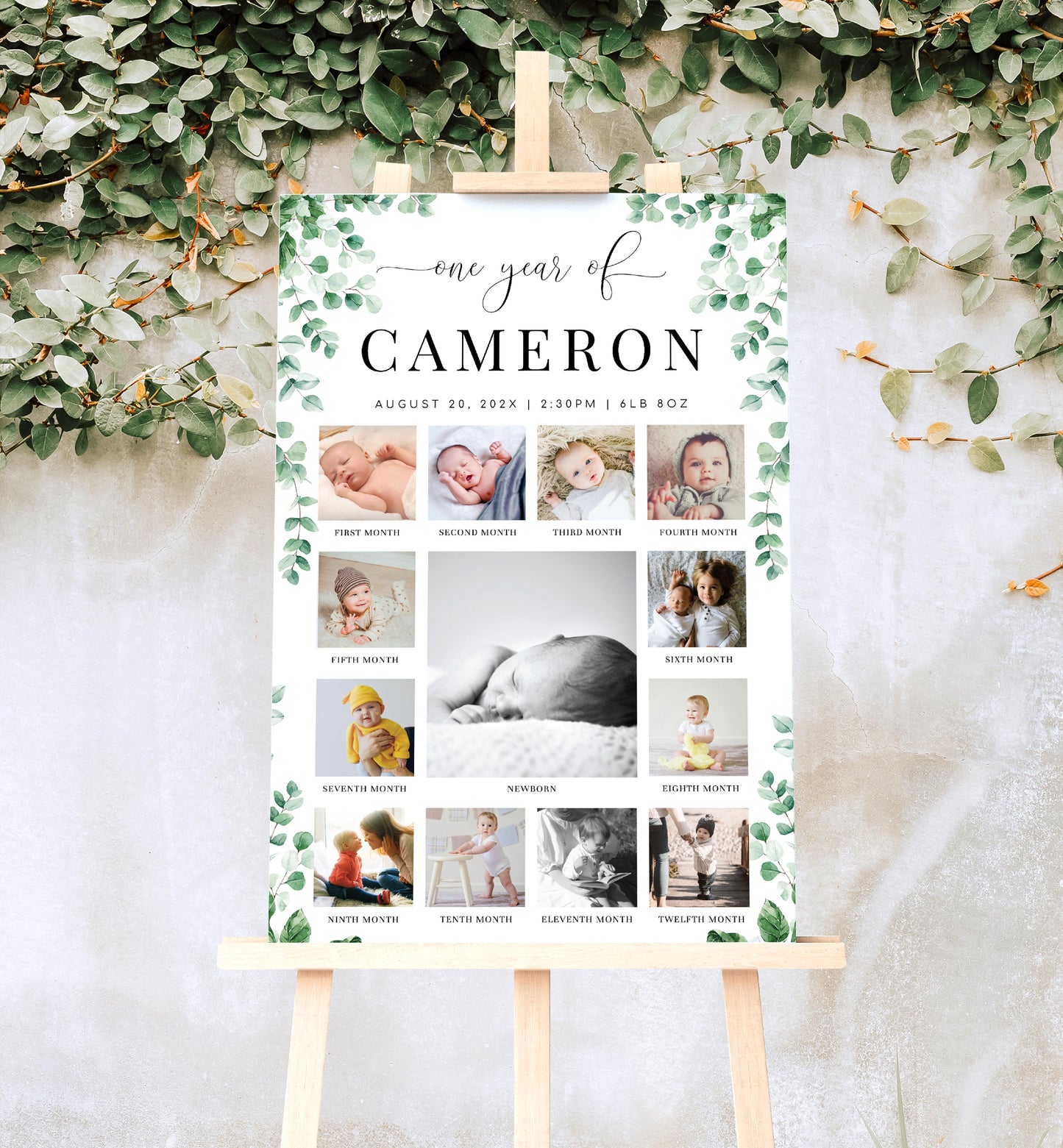 Ferras Greenery | Printable My First Year Photo Timeline Sign Template